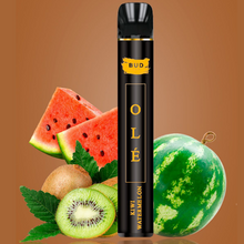 Carregar imagem no visualizador da galeria, VAPERS PREMIUM | 15 SABORES | 800 puffs