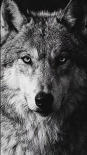 Carregar e reproduzir vídeo no visualizador da Galeria, PERFUME RAYHAAN WOLF 100ML
